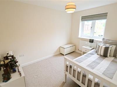 Picture 13
